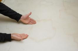 במקרים של כתמי עובש, פטריות וקרדית האבק במזרן מומלץ לקנות שמן אתרי מעץ התה והחומרים הפעילים בו יחסלו אותם כליל